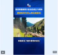 戈壁变“蓝海”！《天山新动脉》看新疆